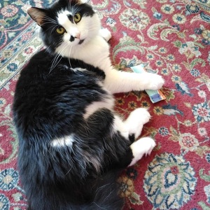 Fundraising Page: Elizabeth Whitby